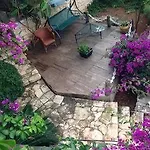 Korsan Ada 2* كاس